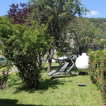Flamboyant Holiday home Bussang