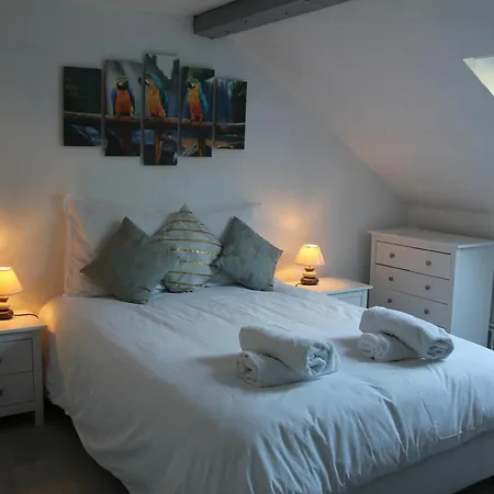 Flamboyant * Bussang