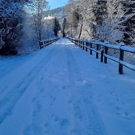 Flamboyant Vakantiehuis Bussang