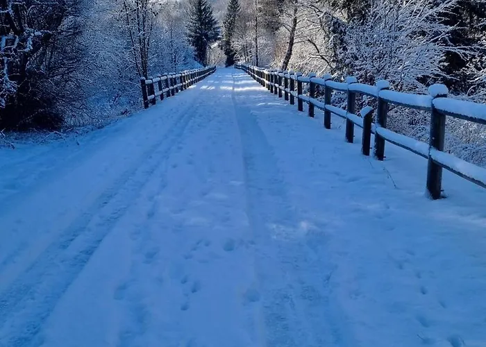 Flamboyant 度假居 比桑